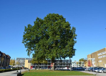 Neumünster Kleinflecken © Stadt Neumünster