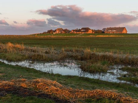 Hallig Oland, (c) Markus Trienke, CC BY-SA 2.0 <https- creativecommons.org licenses by-sa 2.0>, via Wikimedia Commons