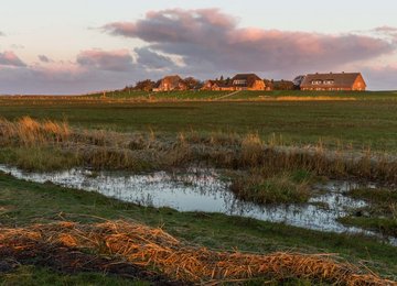 Hallig Oland, (c) Markus Trienke, CC BY-SA 2.0 <https- creativecommons.org licenses by-sa 2.0>, via Wikimedia Commons