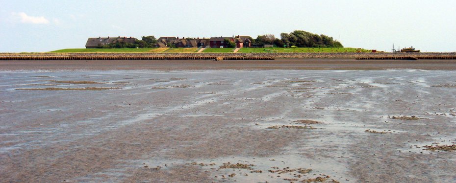 Hallig Oland, (c) Miguel Andrade CC-BY-SA2.0 <https- creativecommons.org licenses by-sa 2.0>, via Wikimedia Commons